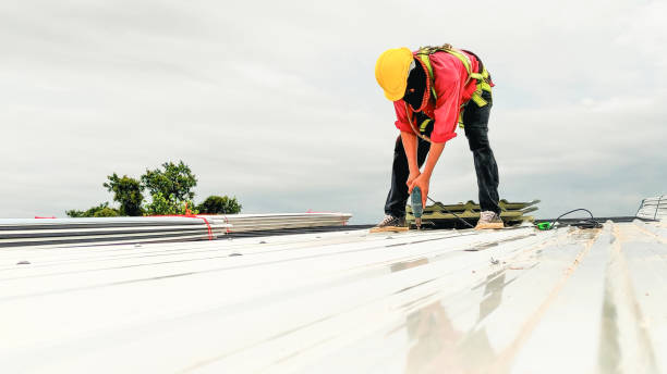 Best Gutter Installation and Repair  in Wanatah, IN